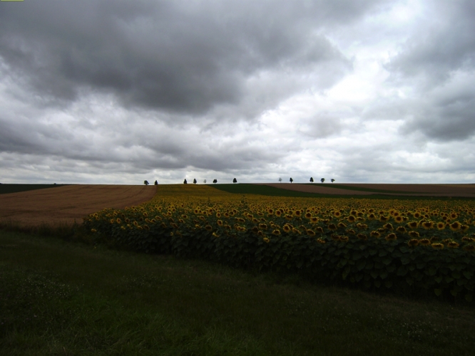 Mayenne juli 2009

