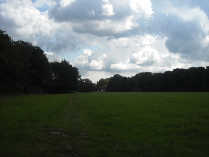 Mollenvlied augustus 2011

