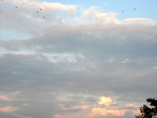 Bergen september 2011
