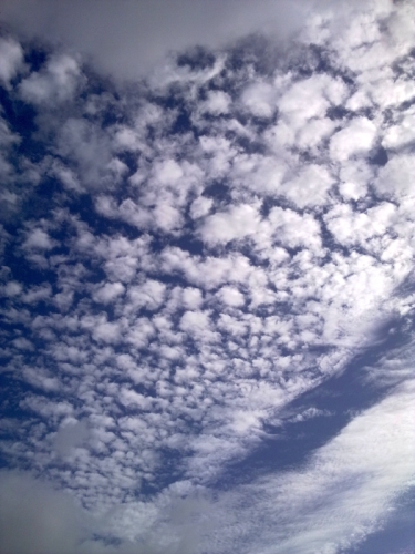 Noordwijk aan Zee september 2011

