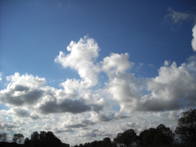 Hoorn <-> Bergen september 2011
