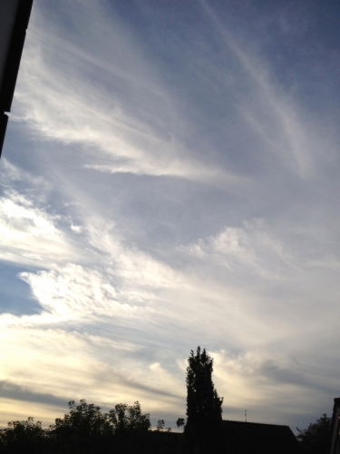 Bergen, 23-08-'12
