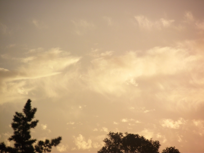 Stellenbosch 14-03-'13
