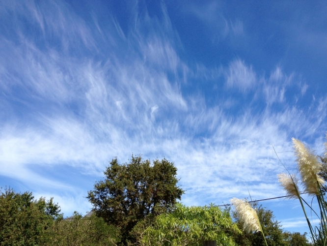 Stellenbosch 17-03-'13
