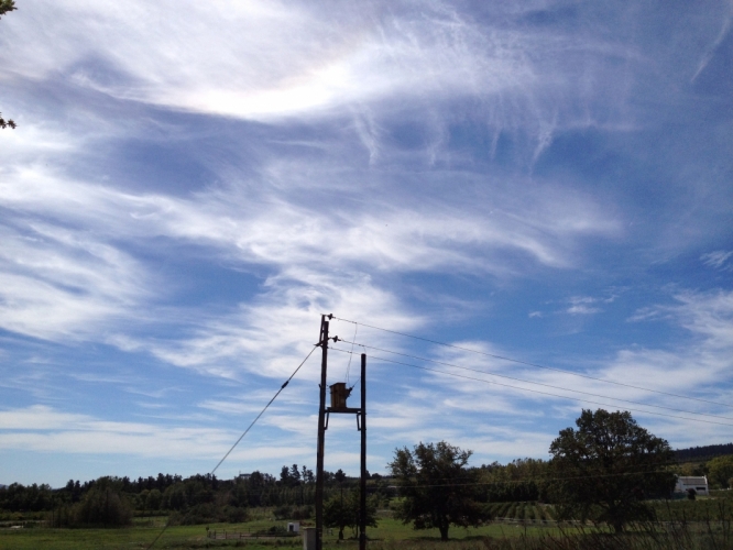 Stellenbosch 17-03-'13
