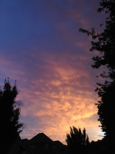 Marietta, Georgia, 08-07-'13
