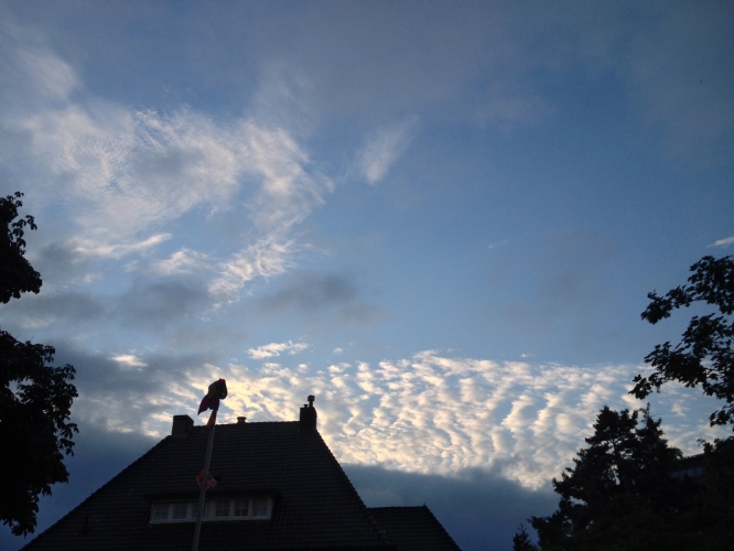 B. Zweerskade 25-07-'14
