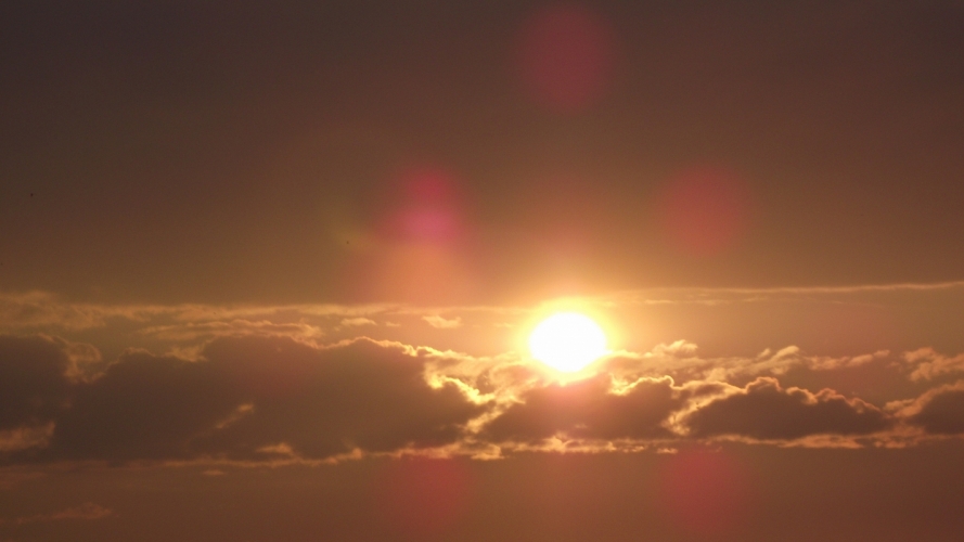 Polder bij Bergen 29-04-'12
