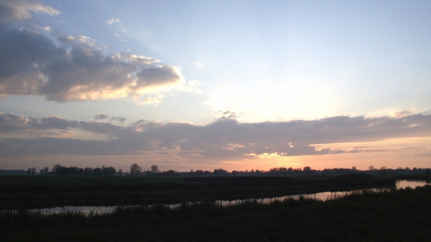 Polder bij Bergen 29-04-'12
