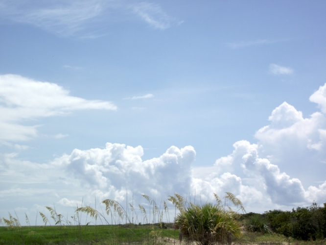 Little Saint Simons Island, Georgia, 19-07-'13
