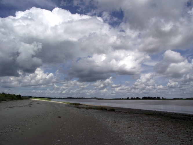 Little Saint Simons Island, Georgia, 19-07-'13
