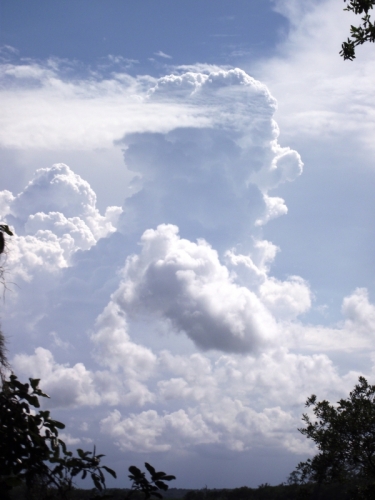 Little Saint Simons Island, Georgia, 19-07-'13
