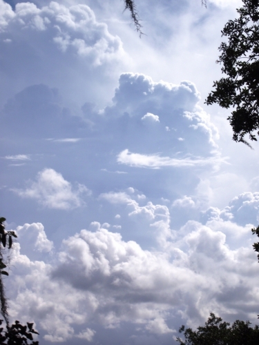 Little Saint Simons Island, Georgia, 19-07-'13
