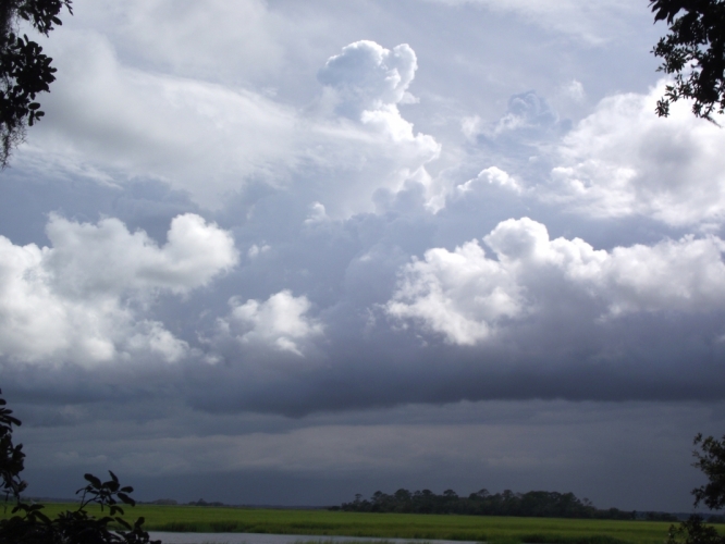Little Saint Simons Island, Georgia, 19-07-'13

