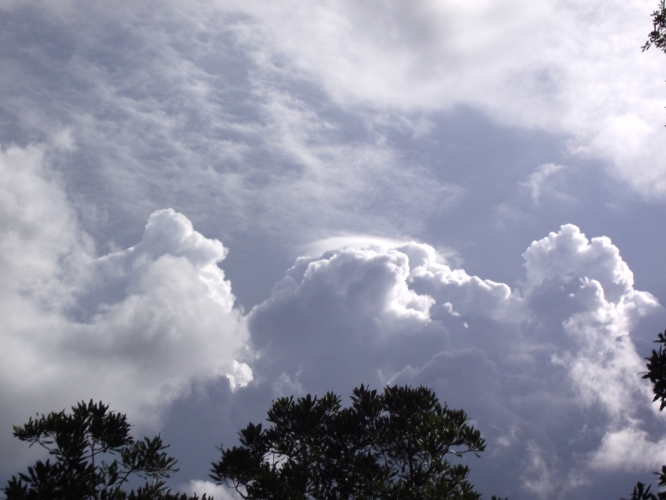 Little Saint Simons Island, Georgia, 19-07-'13
