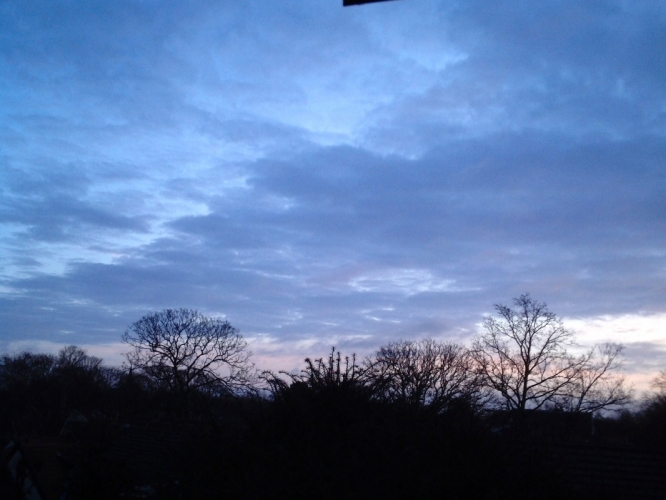 1e Kerstochtend 2011
