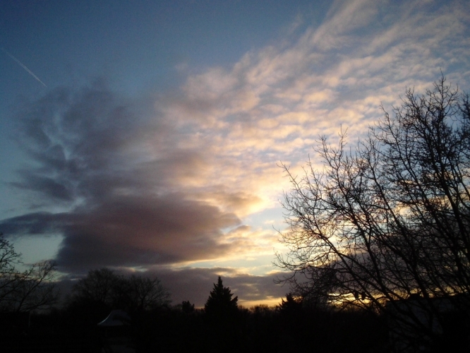 Bergen 8 januari 2012
