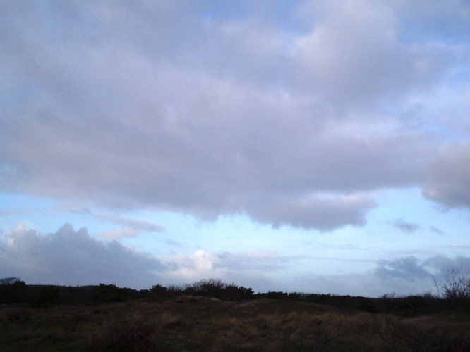 Bergen 8 januari 2012
