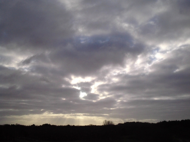 Bergen 8 januari 2012
