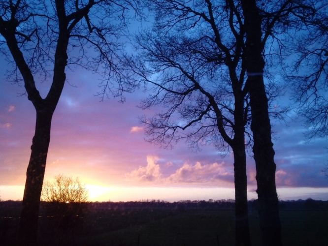 Peize, De Hooge Stukken  14-01-2012
