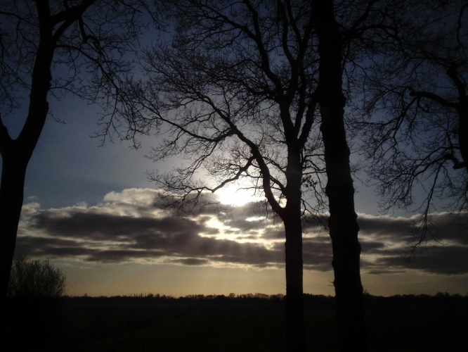 Peize, De Hooge Stukken  14-01-2012
