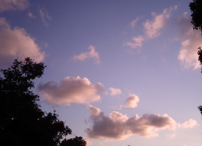 Bergen 01-06-'12 's avonds
