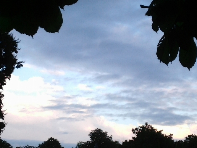 Bergen avond 7 juni 2012
