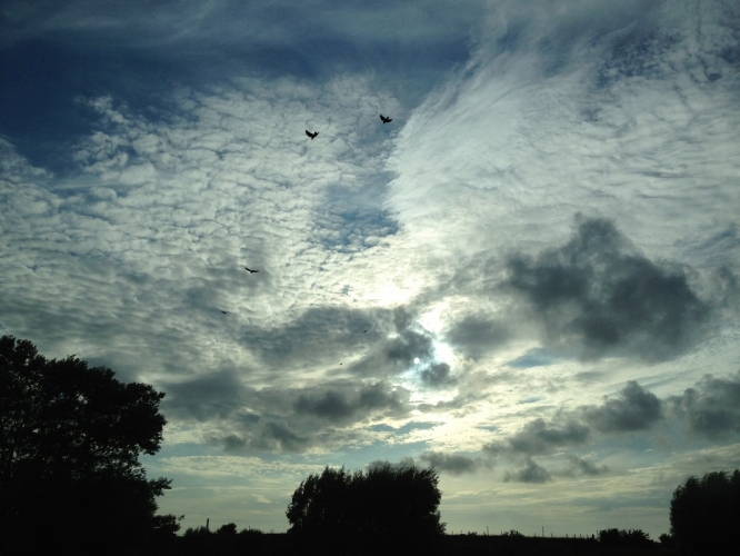 A9 Bergen->A'dam, 06-08-'12
