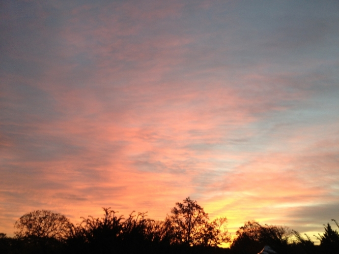 Bergen, vroeg, 26-10-'12
