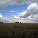 2009-07-01_Mayenne.jpg