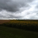 2009-07-03_Mayenne.jpg