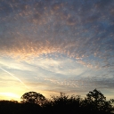 2012-08-18_06_33_06.jpg