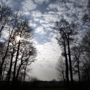DSCF0537.JPG