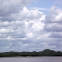 DSCF1356.JPG