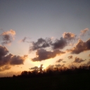 PIC_0723.JPG