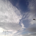 PIC_0795.jpg