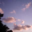 PIC_0909.jpg