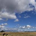 Veluwe_7-10-2012-a_360pano.jpg
