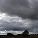 Veluwe_7-10-2012-b_360pano.jpg