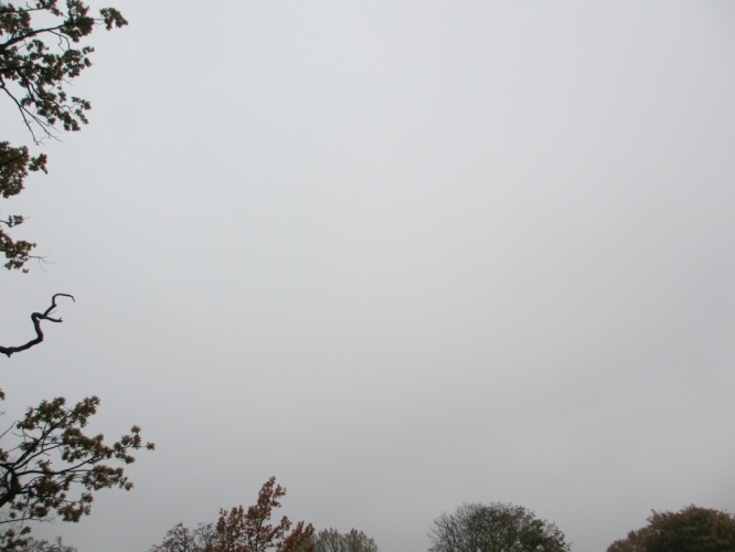 24 - 10 - '12, Vondelpark.
