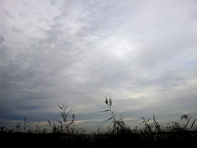 3 november 2011 Muiderberg
