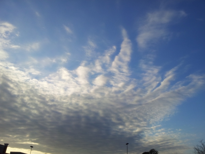 Whole Food Atlanta 18 nov. '11
