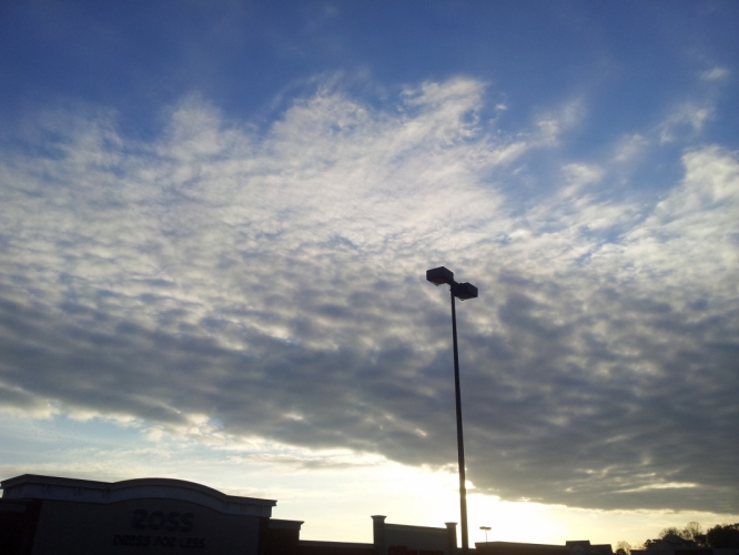 Whole Food Atlanta 18 nov. '11
