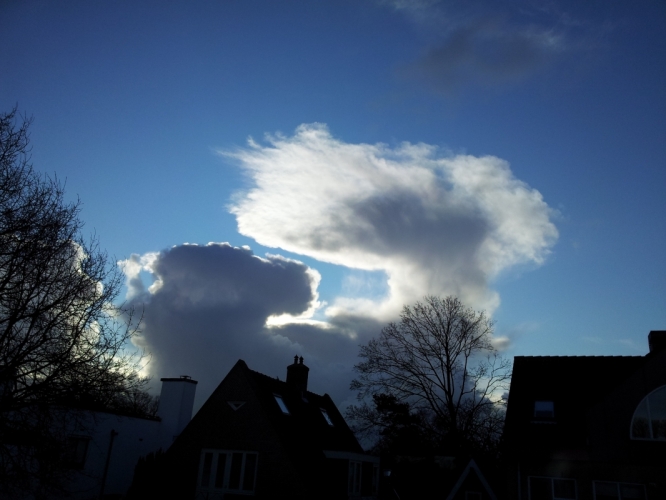 Bergen 18 december 2011
