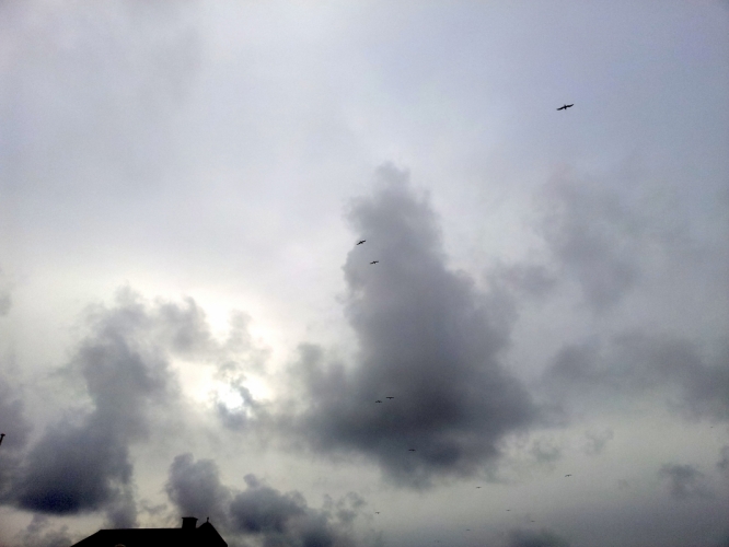 Noordwijk 24 januari 2012
