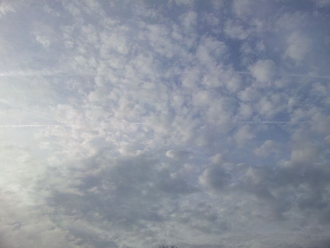 Schaapjes in de lucht. Bergen 23 - 2 - '12
