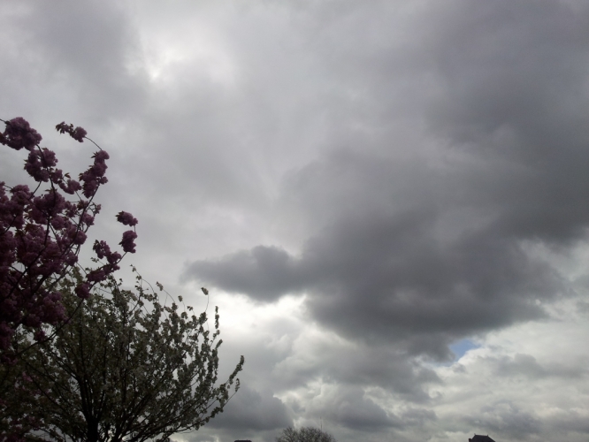 Museumplein 25-4-'12
