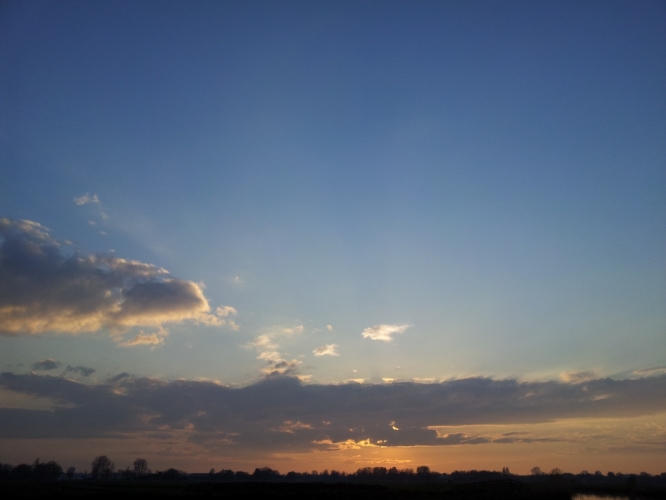 Bergen, polder 29-4-'12
