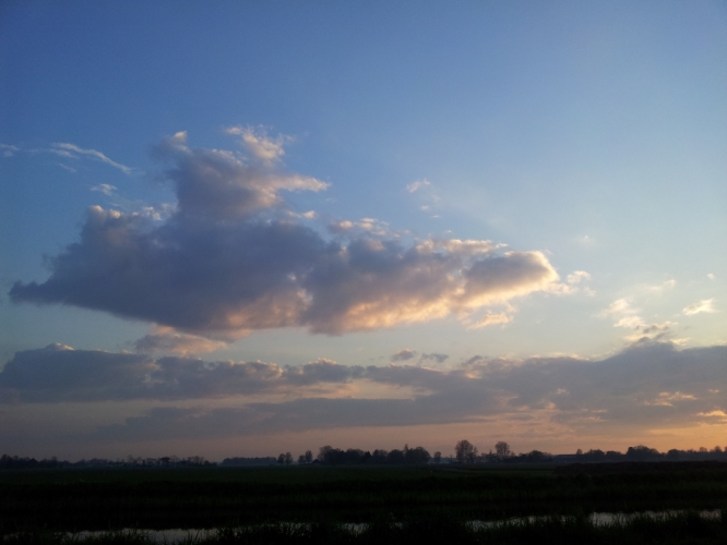 Bergen, polder 29-4-'12
