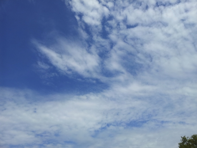 Tennisbaan, Bergen 18-5-'12
